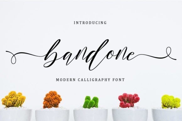 Bandone: A Font That Elevated My Brand's Visual Identity