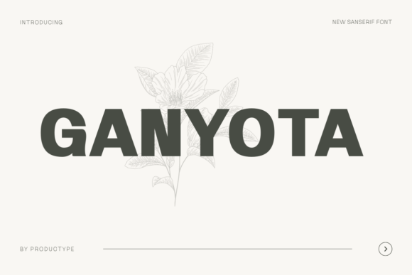 Ganyota: A Modern Sans Serif Font for Your Business