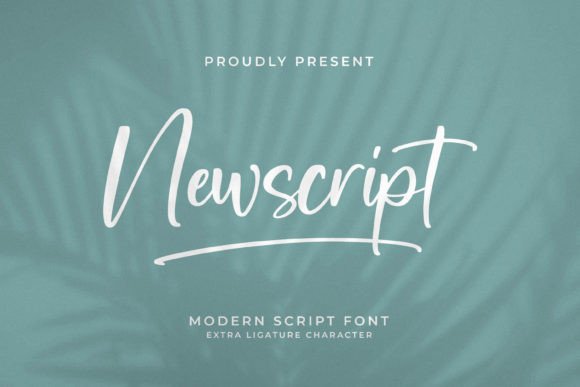 How Newscript Transformed My Brand’s Visual Identity