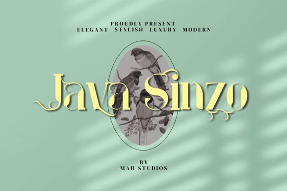 Java Sinzo Serif Font for Modern Web Design