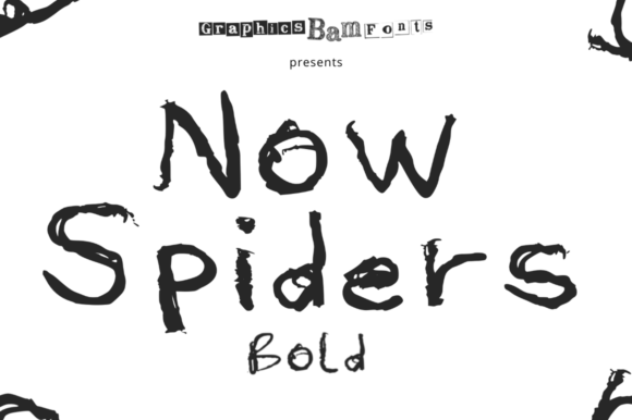 Now Spiders Bold for Branding Projects